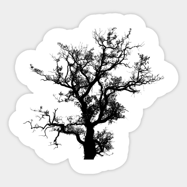 Tree Sticker by linesdesigns